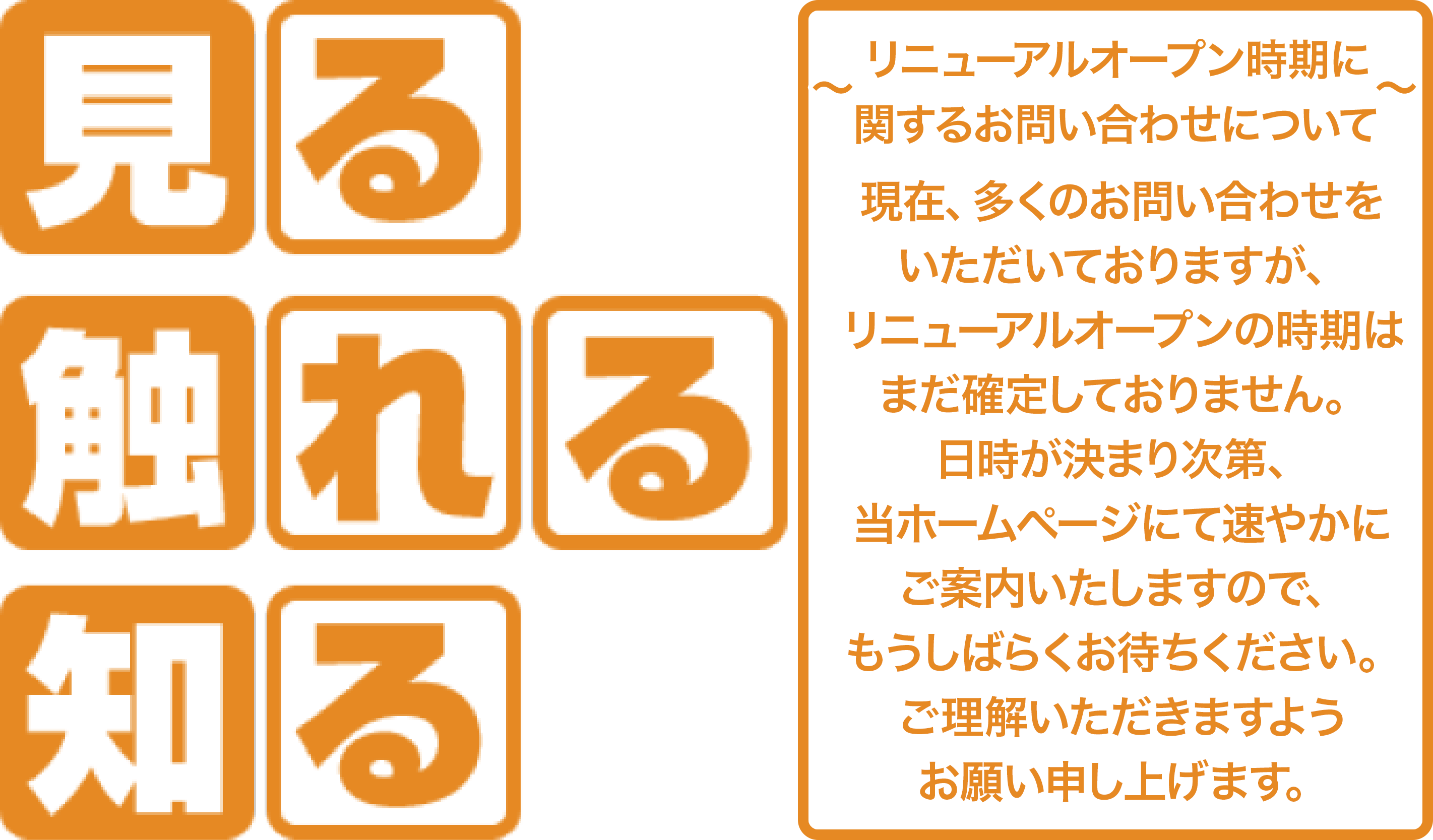 見る 触れる 知る